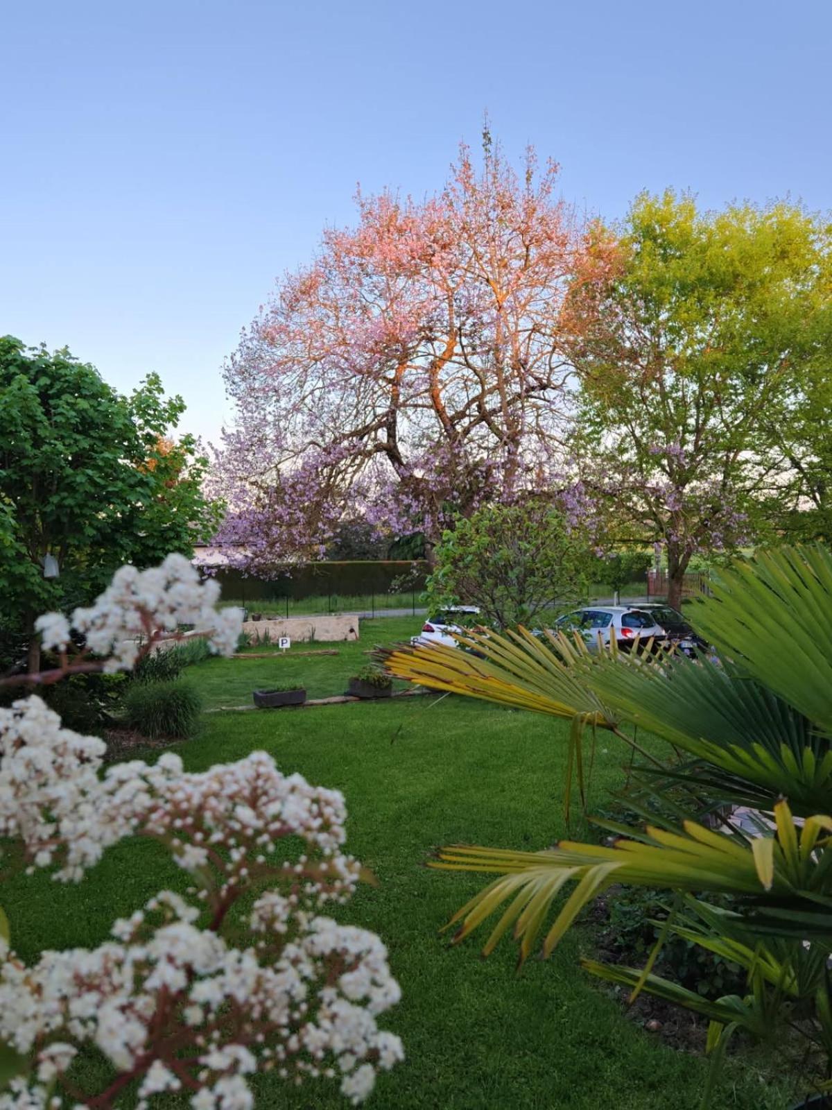 A 10Mn De Vichy Studio Dans Ancienne Etable 外观 照片